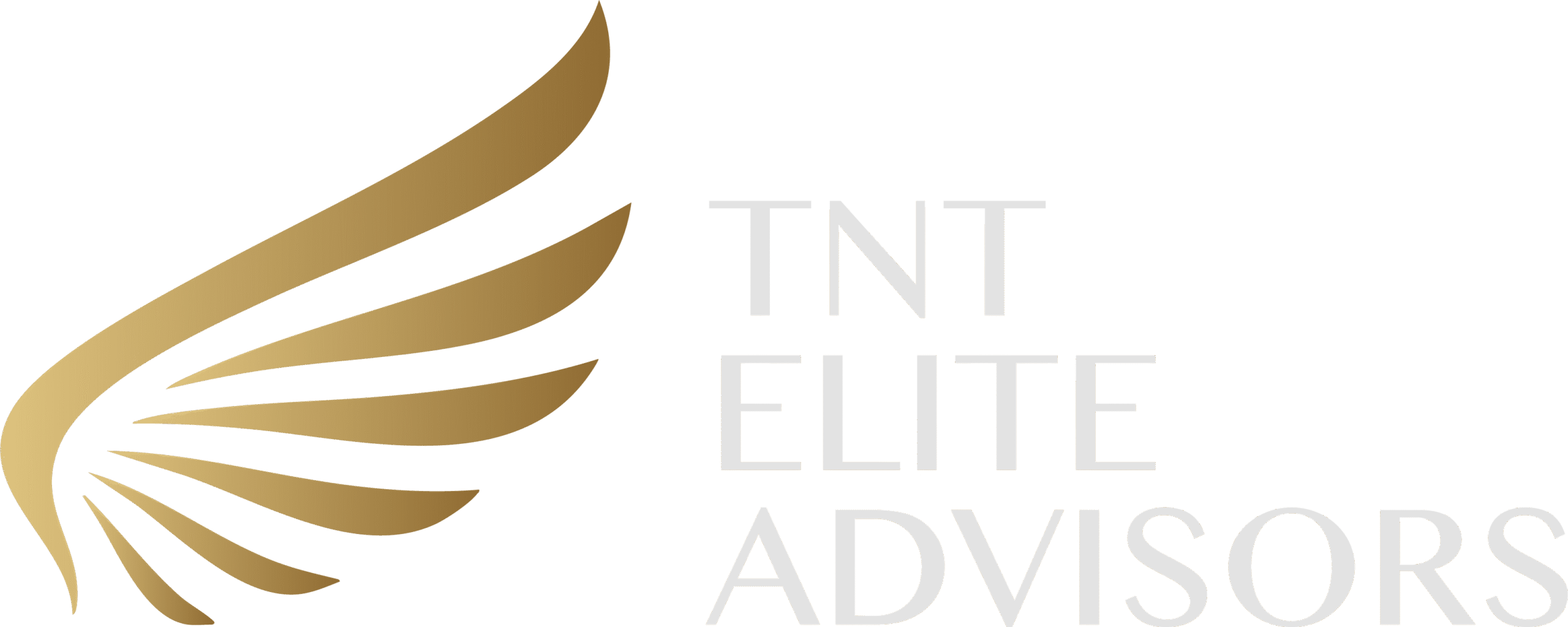 TNT Elite Advisors
